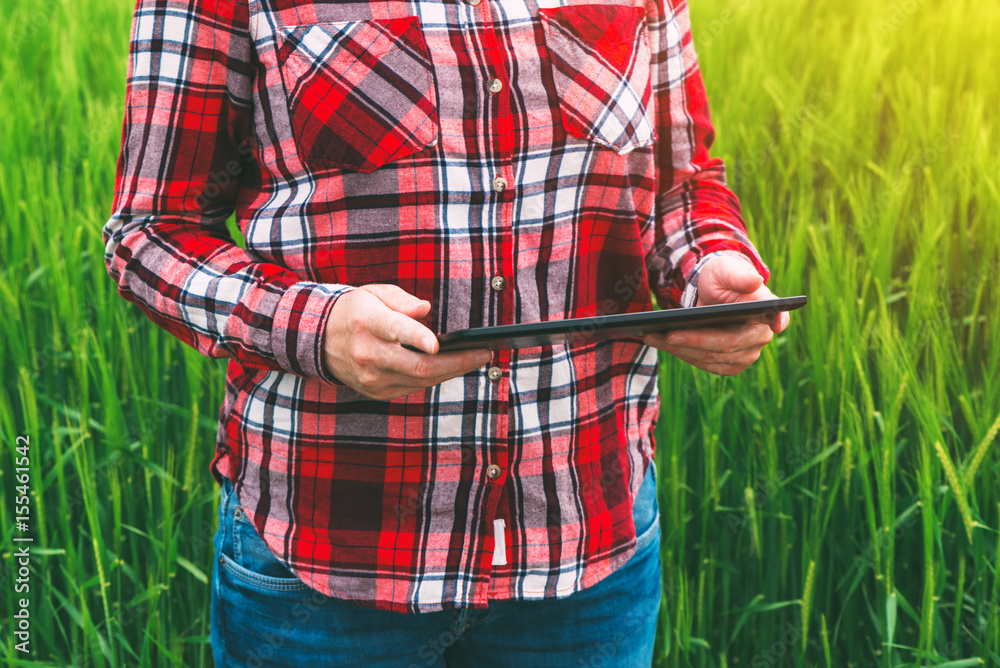 Female farmer using tablet computer in wheat crop field