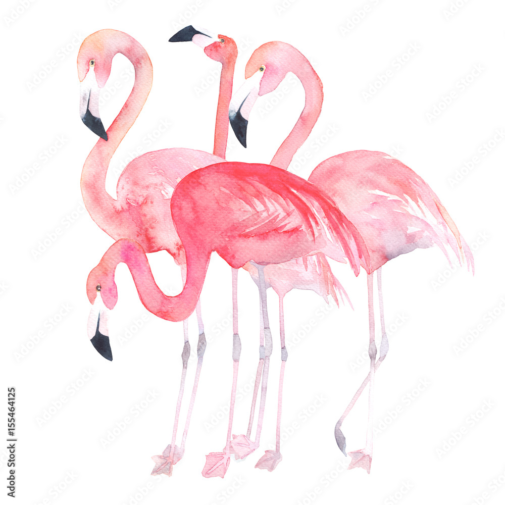 Naklejka premium Akwarele flamingi