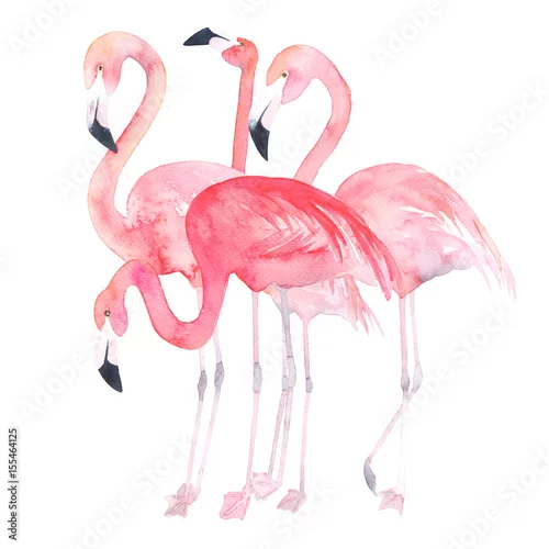 Naklejka na ścianę Flamingi akwarelowe