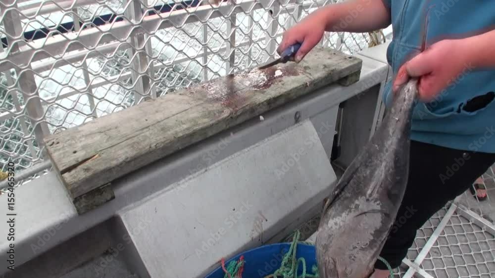 Fisherman cut up fish on ship in ocean background of waves in New Zealand. Extreme work fisheries. Fisherman cut up fish on ship in ocean background of waves in New Zealand. Extreme work fisheries.