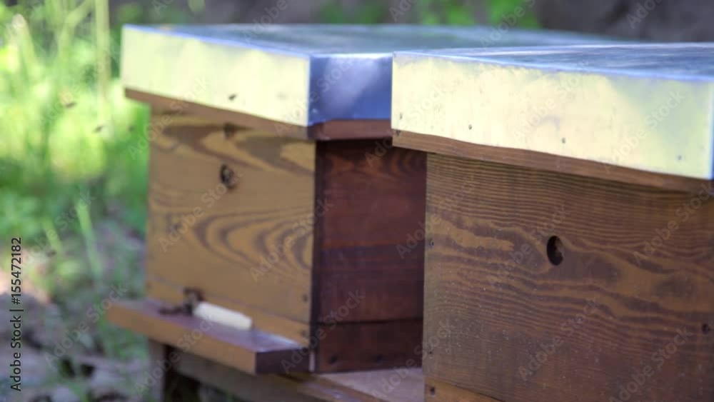 Close shot of honey bees taking off from bee hive. Copyspace text. Close shot of honey bees taking off from bee hive. Copyspace text.