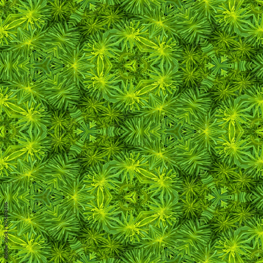 Abstract decorative plant background. Seamless pattern. Abstract decorative plant background. Seamless pattern.