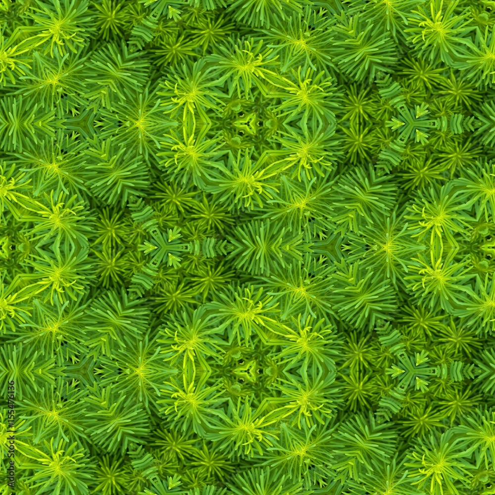 Abstract decorative plant background. Seamless pattern.