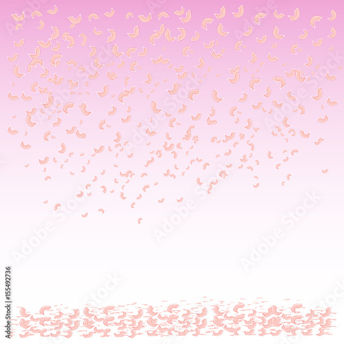 Falling  flying petals of roses  cherry blossoms  cherries  apricots  apple-trees. Whirlwind  wedding background