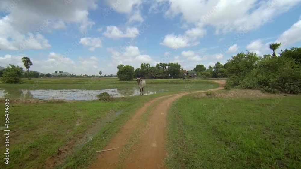 POV slow motion of Asian countryside paths POV slow motion of Asian countryside paths