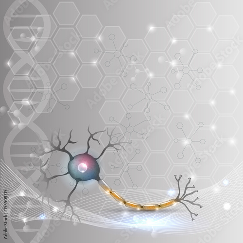 Nerve cell anatomy detailed illustration on an abstract scientific DNA background