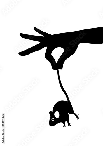 Mouse in women hand