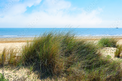 View of wild beach, sea and blue sky with clouds.