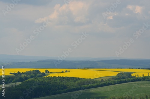 Blick vom Aussichtsturm über Mittelgebirgslandschaft - Hügellandschaft im Frühling - Rapsfelder