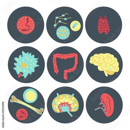 immune system icon set
