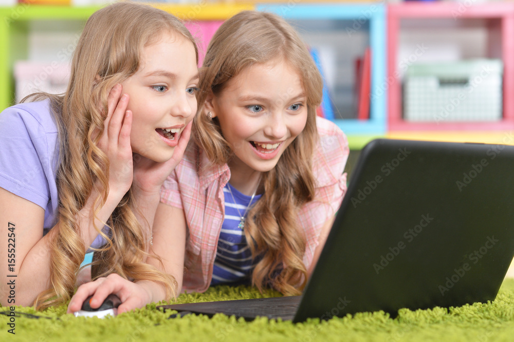 Teenagers sisters using laptop Teenagers sisters using laptop