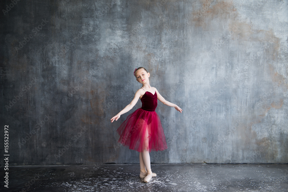 Fototapeta premium small ballet dancer