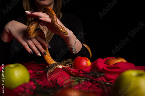 Fortune-teller controls a snake photo