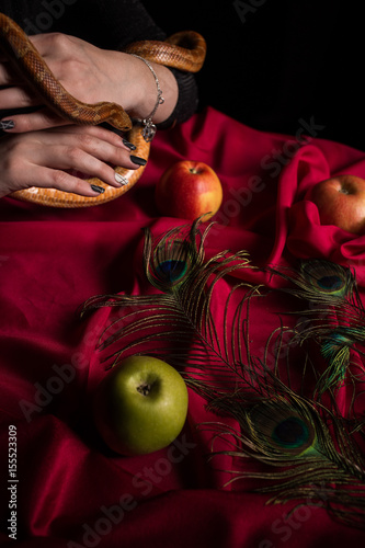 Witch conducts a magical ritual with a snake photo