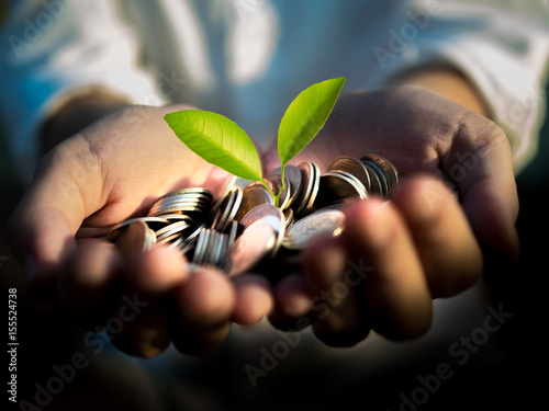 Hands holding plant sprouting from a handful of coins, growing money concept