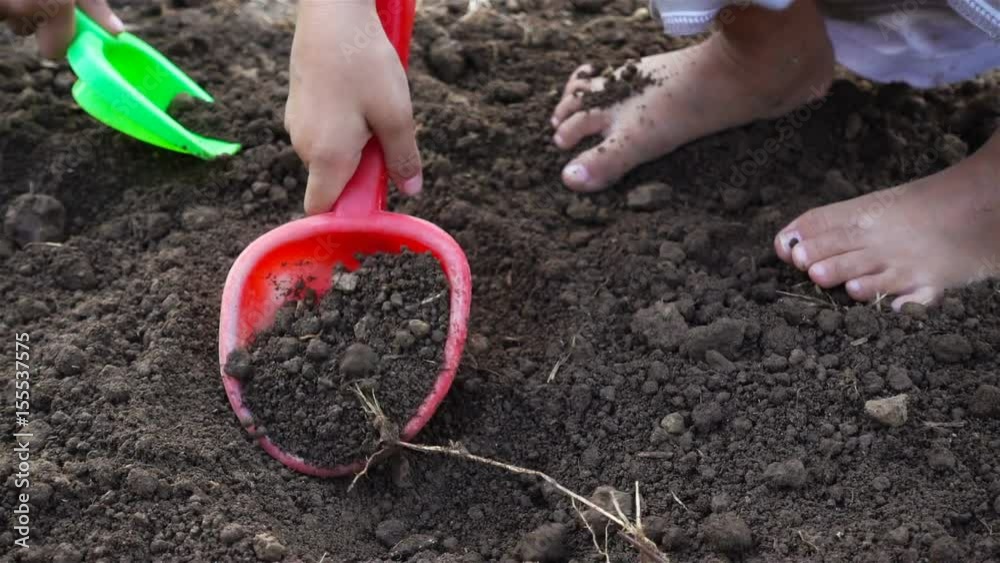 Zoom out hand of asian girl digging for prepare planting sapling in the land. Ecology concept Zoom out hand of asian girl digging for prepare planting sapling in the land. Ecology concept