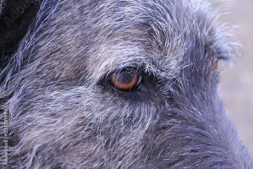 Wallpaper Mural Atenta Torontodigital.ca