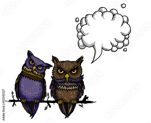 Cartoon image of cute owls. An artistic freehand picture. With speech bubble.