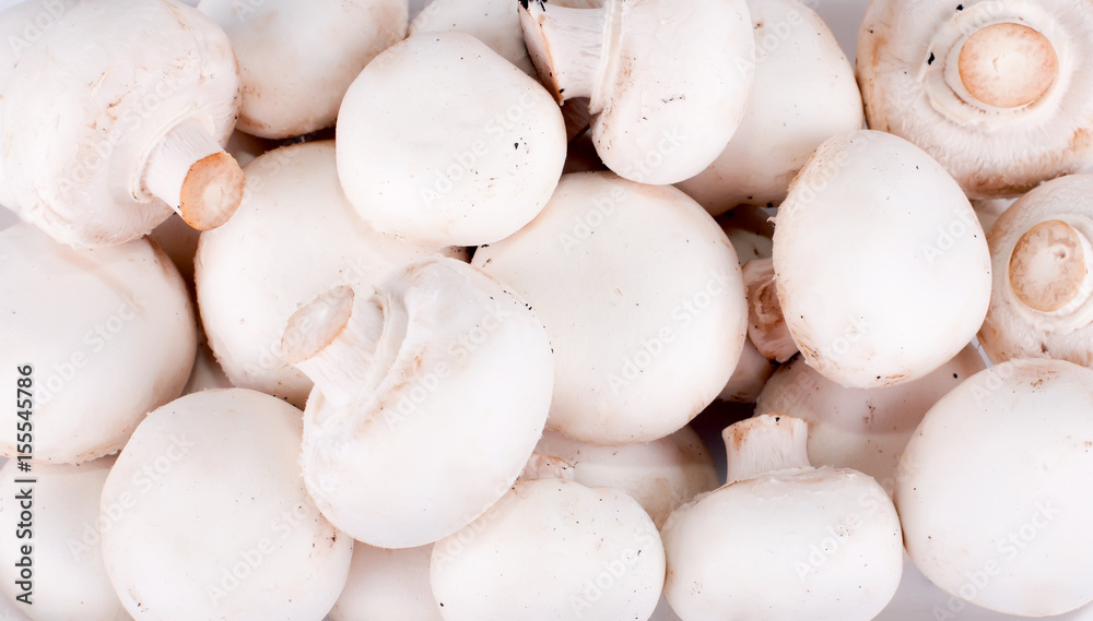 mushrooms located background a lot of white fresh mushrooms in a chaotic manner occupying all space mushrooms located background a lot of white fresh mushrooms in a chaotic manner occupying all space
