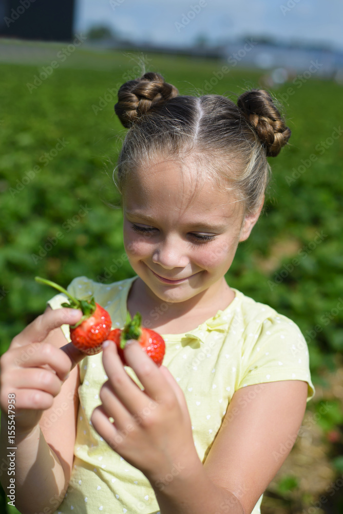 Smiling little girl with picked strawberries in the garden Smiling little girl with picked strawberries in the garden