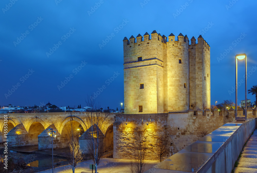 The Calahorra Tower, Cordoba, Spain