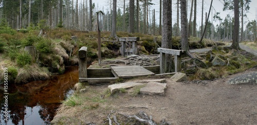 Supply water channel near  Torfhausmoor in Harz hillsMoor Torfhausmoor in Harz hills photo