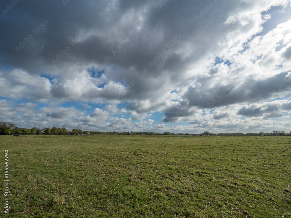green meadow and blue sky with big clouds, Wisseler Duenen, Kalkar