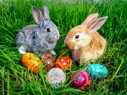 Easter bunny eggs on green grass © максим шепета