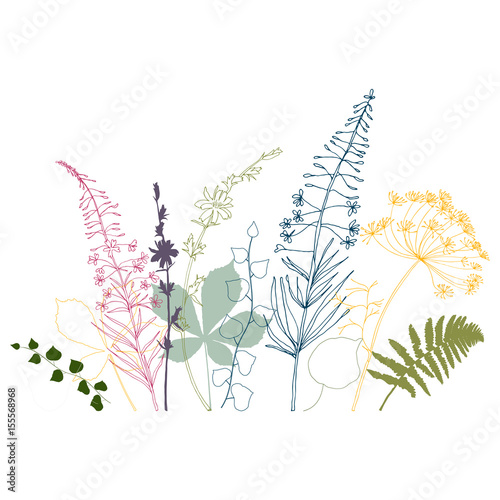 Vector floral background  with  fireweed, chicory, dill flowers and fern, ivy and chestnut tree leaves. Hand drawn thin lines meadow plants in pink,  blue , yellow and green.