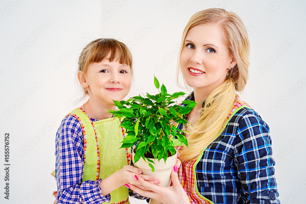 growing a plant growing a plant