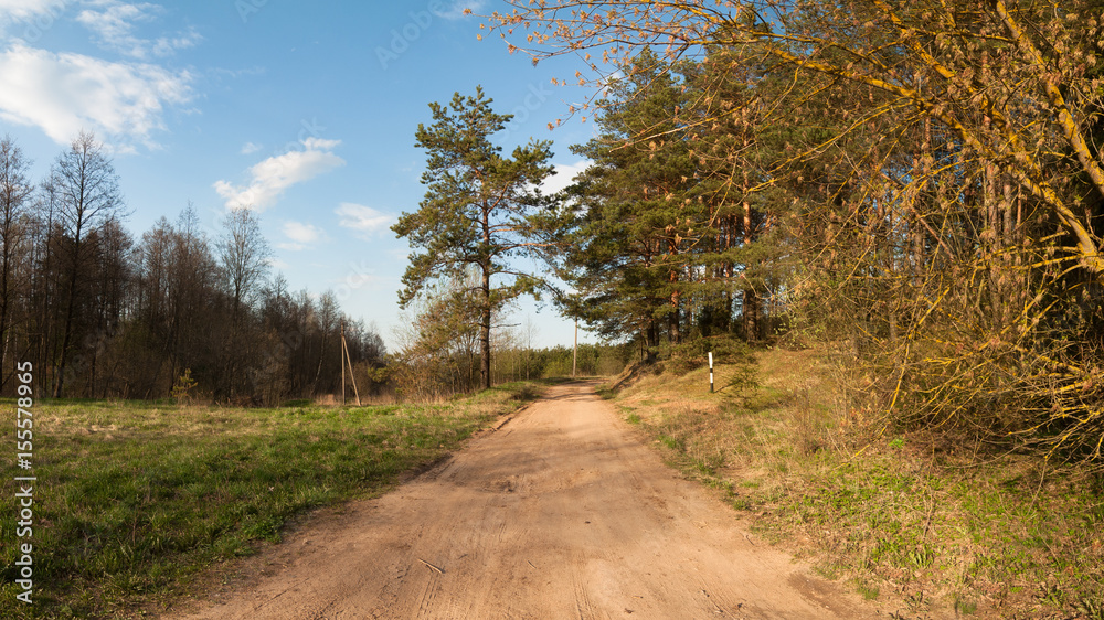 Rural dirt road along the forest