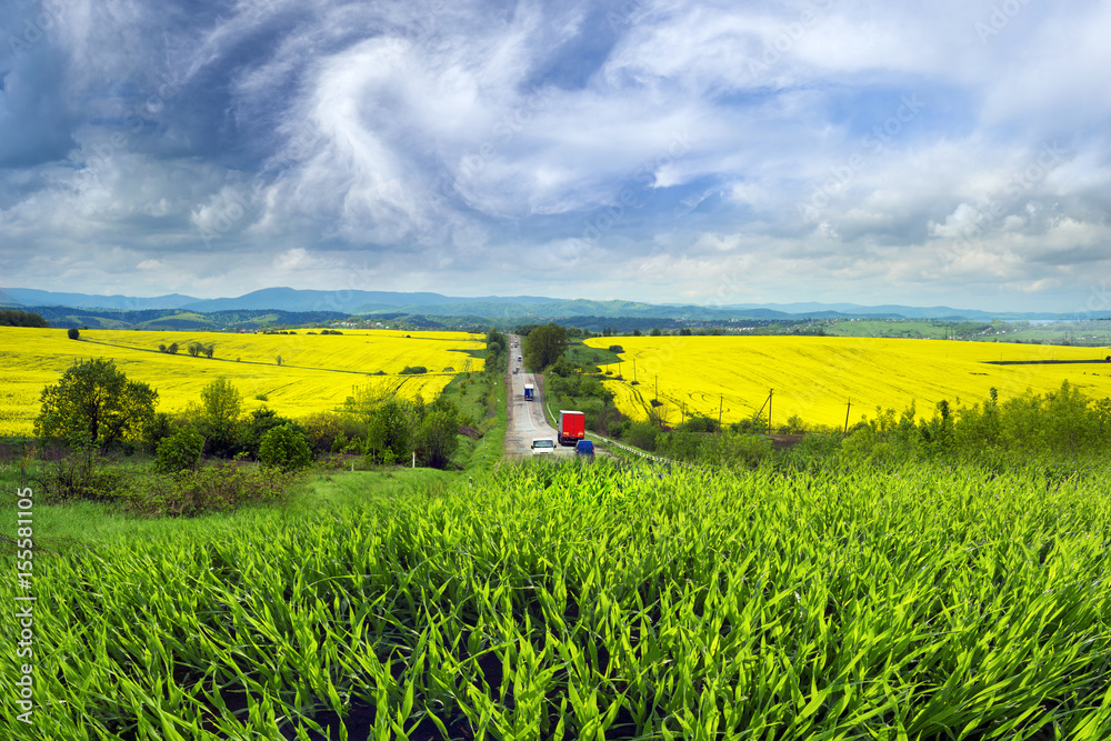 Rape fields and highway