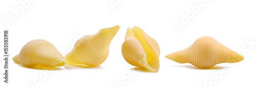 Pasta shells