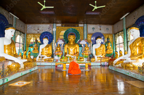  Ascetic Buddhist monk meditating in Shwedagon Paya pagoda in Yangon. Myanmar