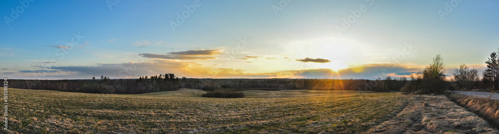 Panorama landscape. Sunset above the field and forests.