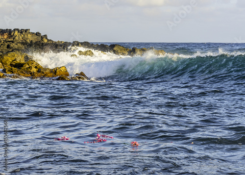 Ocean Flowers photo