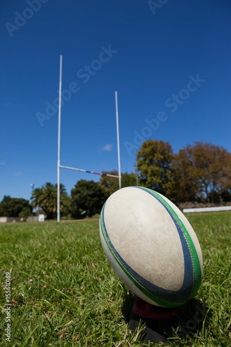 Rugby ball against post on grassy field