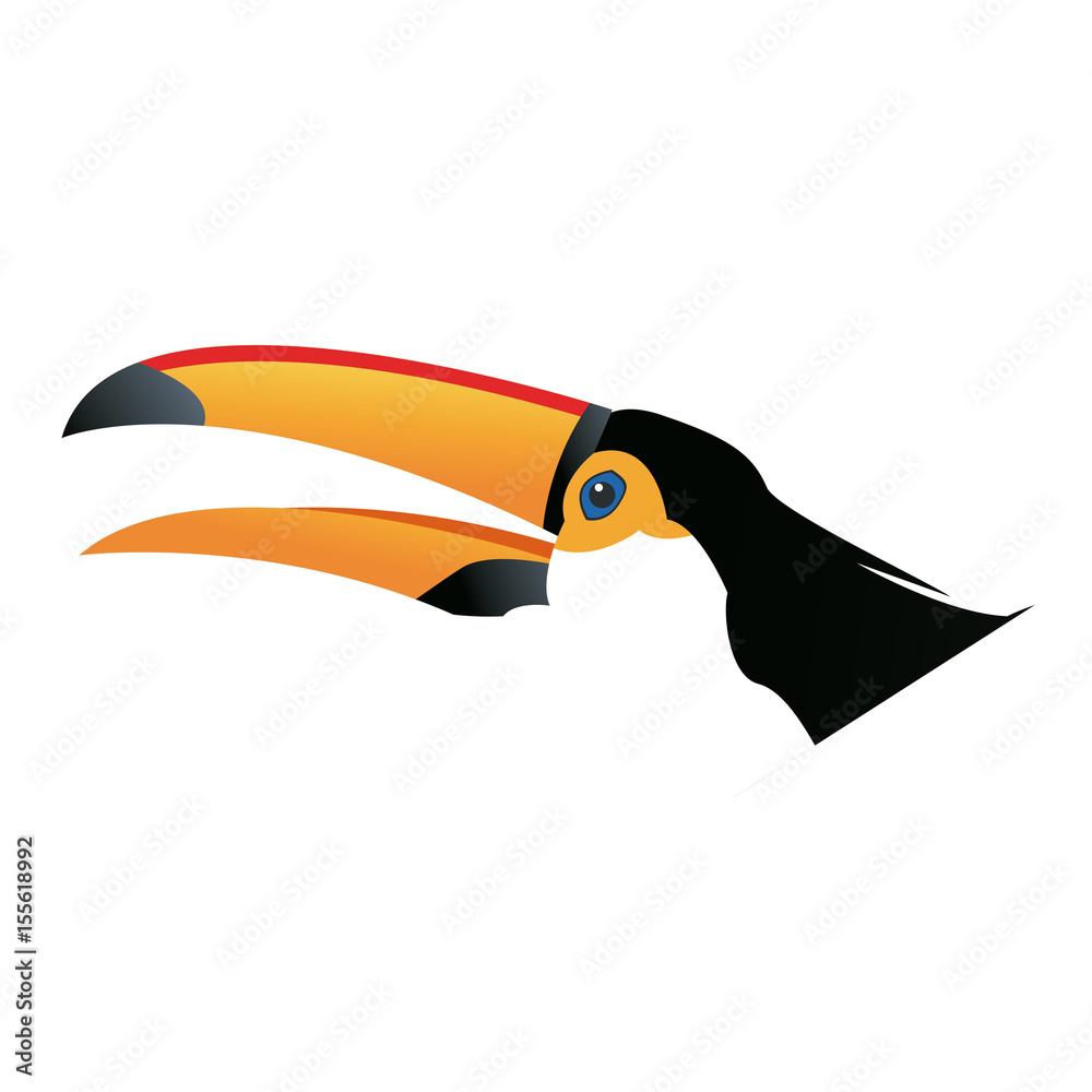 Naklejka premium cute cartoon toucan funny cartoon tropical bird from brazil vector illustration