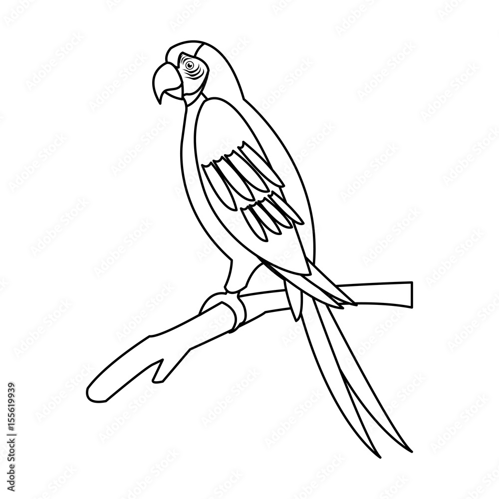 Fototapeta premium macaw parrot branch brazil bird wildlife outline vector illustration