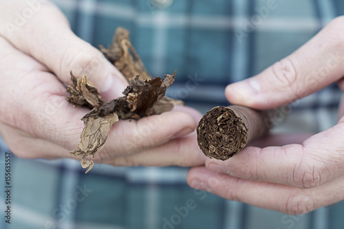 hand holding tobacco leaves and cigar