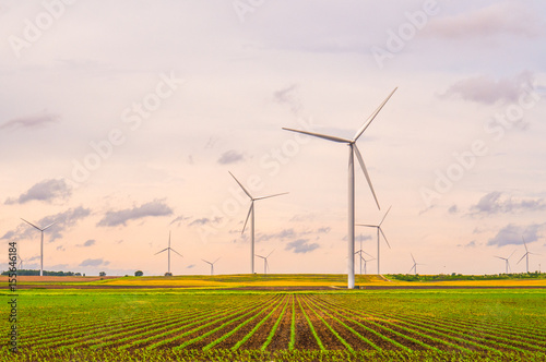 Wind turbines in field in USA midwest farm