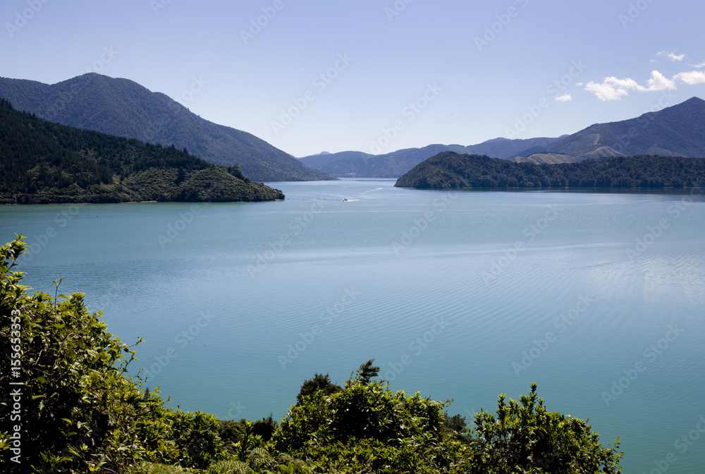 Fototapeta premium View Marlborough New Zealand