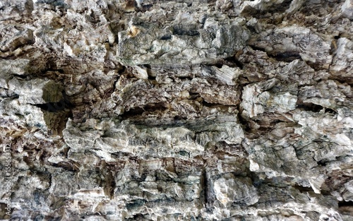 Rock Wall