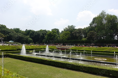 Wallpaper Mural 五月のバラ園 Torontodigital.ca