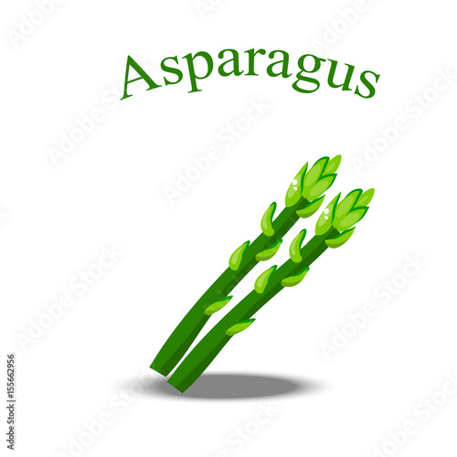 fresh asparagus stem