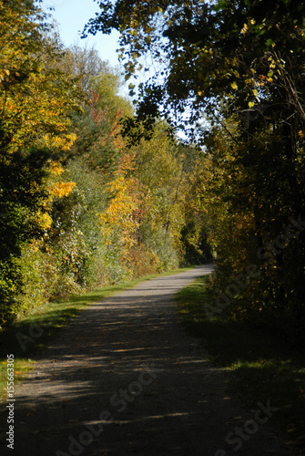 Fall walking path in trees sunny day.jpg