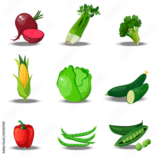 set with fresh healty vegetables
