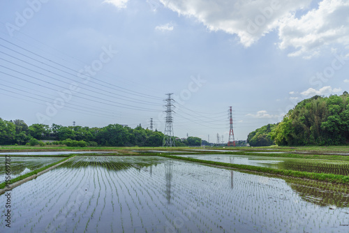 春の四街道市の田園風景
