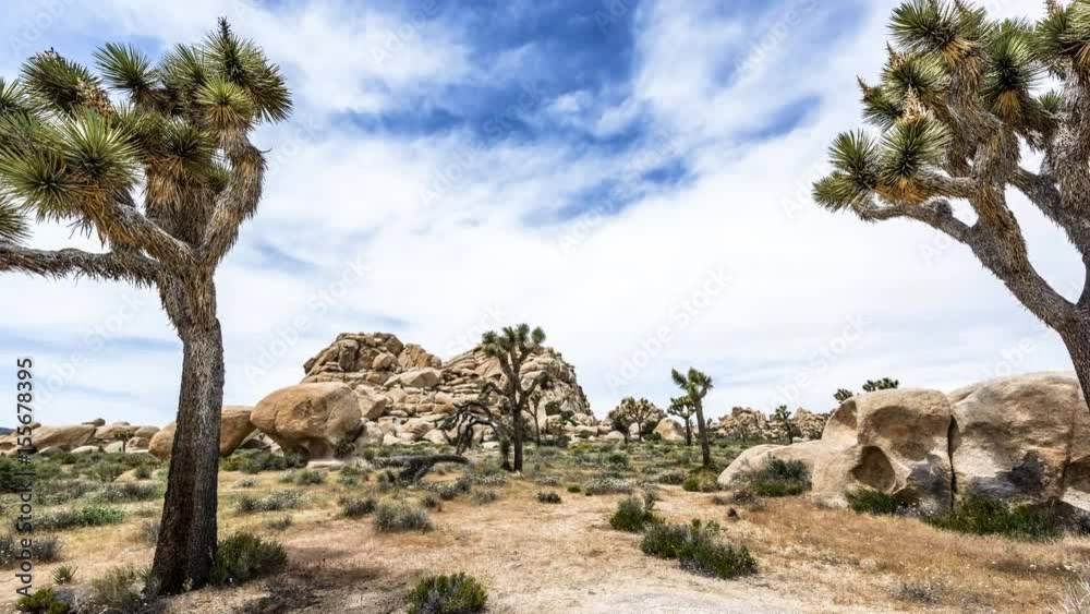 Joshua Tree National Park Desert