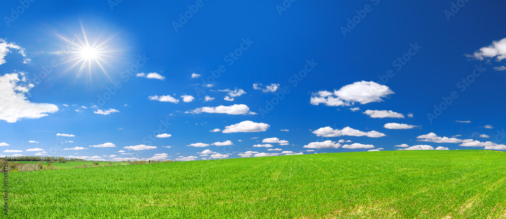 Fototapeta premium spring rural landscape with field and blue sky, a panorama